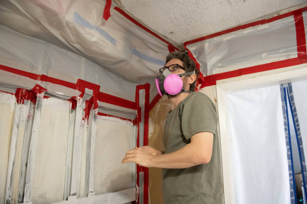 Best Mold Removal for HVAC Installations  in Woodlyn, PA